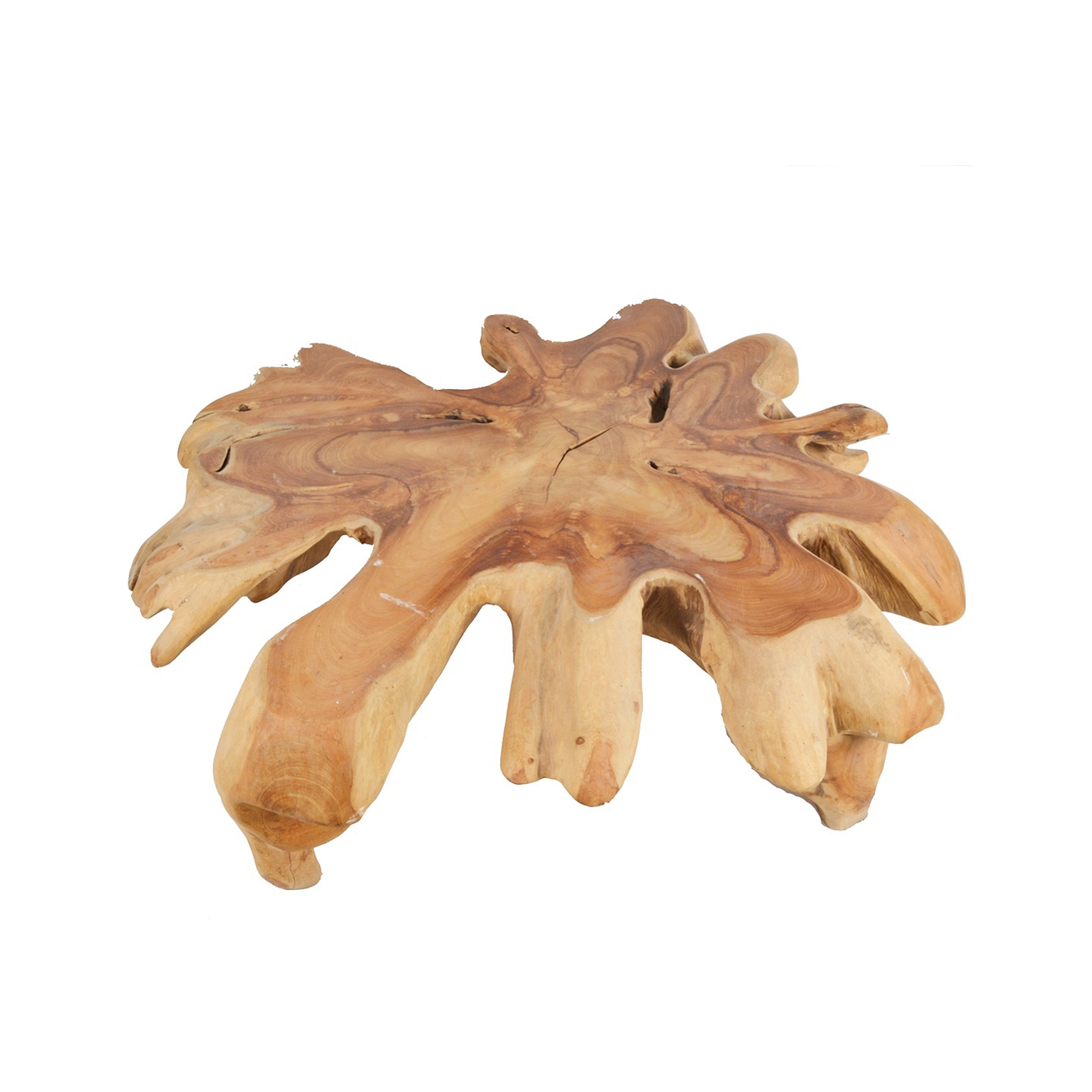 Teak root coffee table